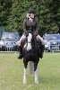 thornton-le-dale-gala showclass7acharity25-5-20192